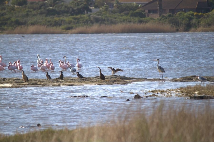 0 Bedroom Property for Sale in Paradise Beach Eastern Cape